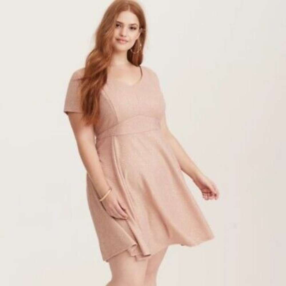 Torrid Champagne Pink and Gold Skater Dress